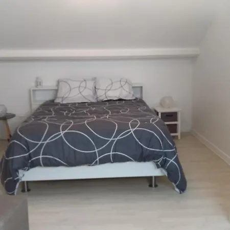 Au Coeur Des Volcans D'auvergne Apartman