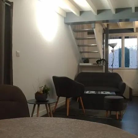 Au Coeur Des Volcans D'auvergne Apartman *
